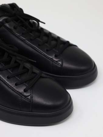 Hogan