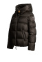 Parajumpers Пуховик 25024904